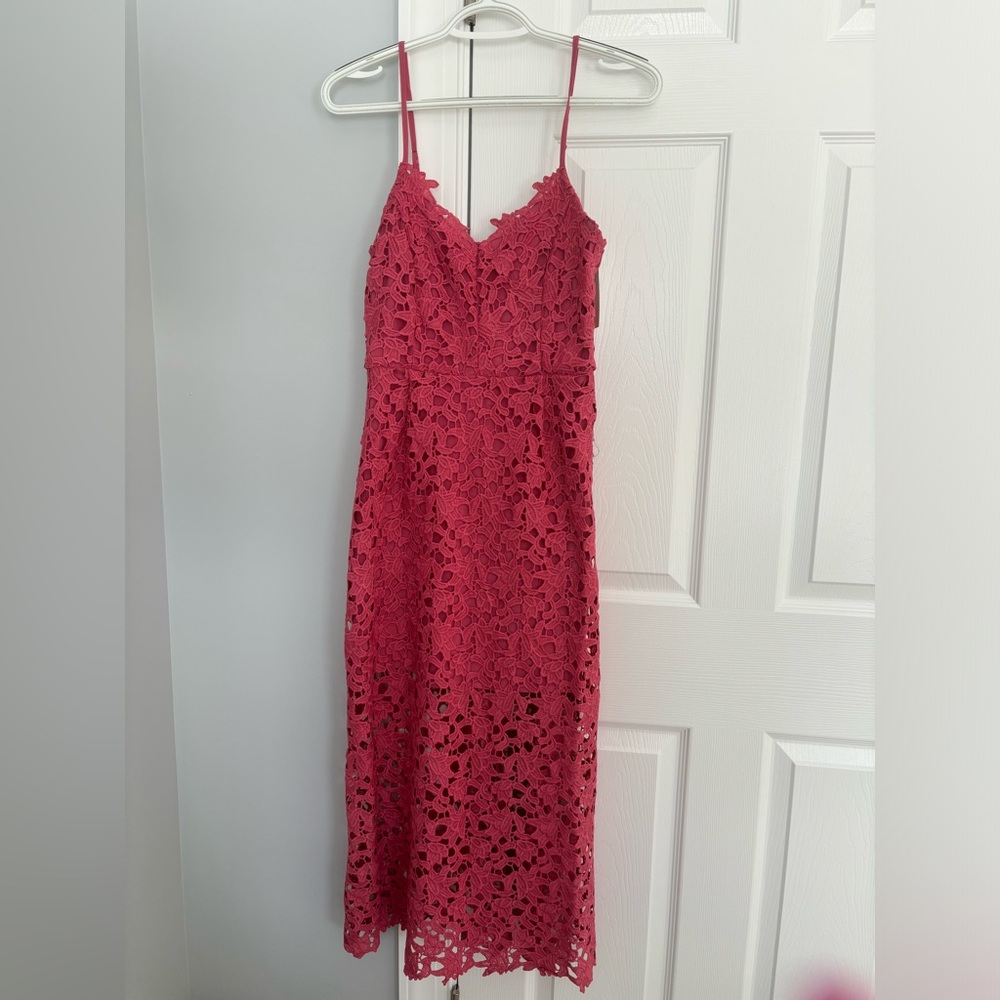 Francesca XS stunning dress brand new with tags
